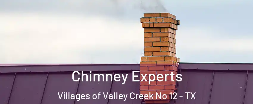 Chimney Experts Villages of Valley Creek No 12 - TX