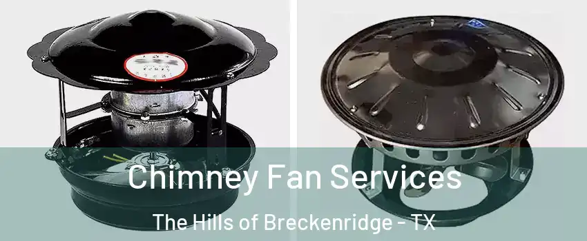 Chimney Fan Services The Hills of Breckenridge - TX