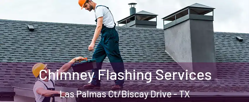 Chimney Flashing Services Las Palmas Ct/Biscay Drive - TX