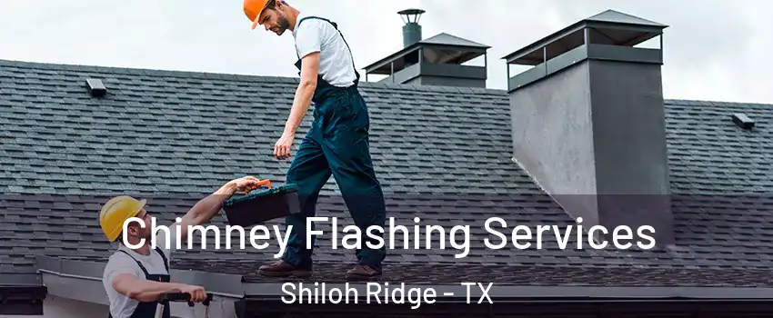 Chimney Flashing Services Shiloh Ridge - TX