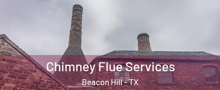 Chimney Flue Services Beacon Hill - TX
