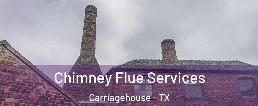 Chimney Flue Services Carriagehouse - TX