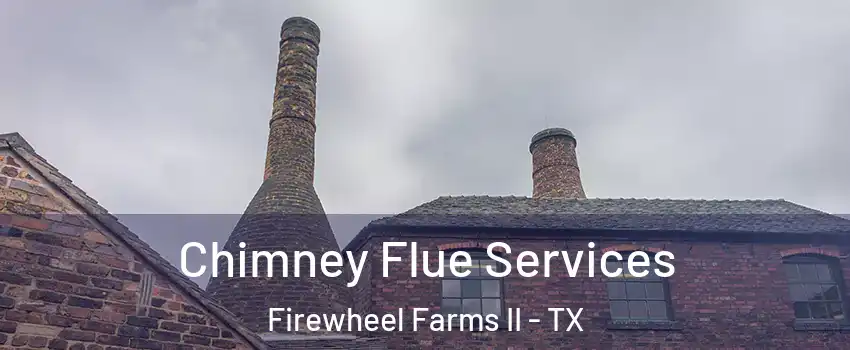 Chimney Flue Services Firewheel Farms II - TX