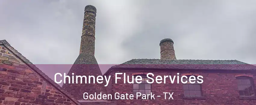 Chimney Flue Services Golden Gate Park - TX