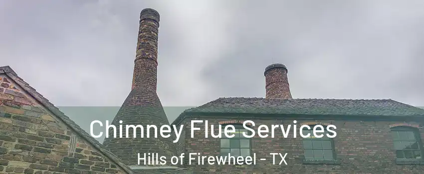 Chimney Flue Services Hills of Firewheel - TX