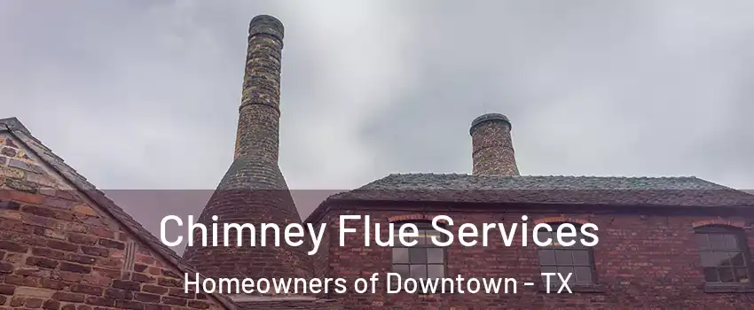 Chimney Flue Services Homeowners of Downtown - TX