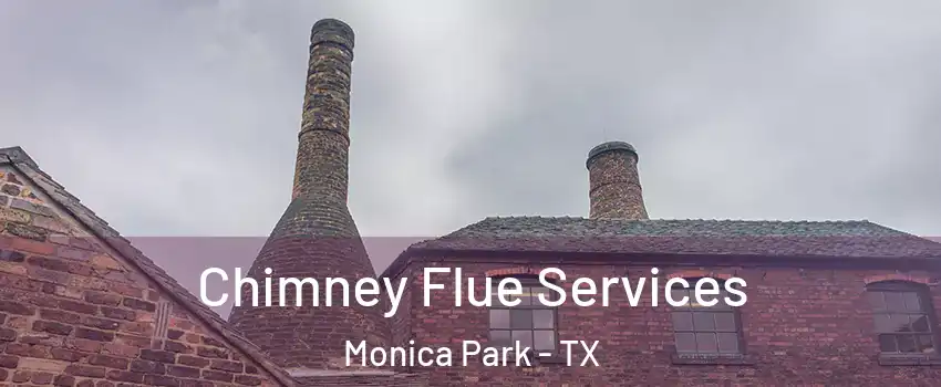Chimney Flue Services Monica Park - TX