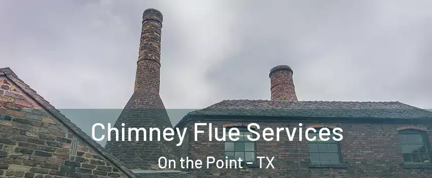 Chimney Flue Services On the Point - TX