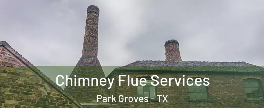 Chimney Flue Services Park Groves - TX