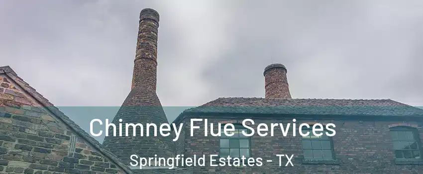 Chimney Flue Services Springfield Estates - TX