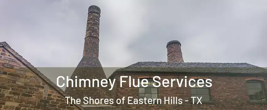 Chimney Flue Services The Shores of Eastern Hills - TX
