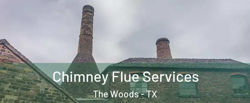 Chimney Flue Services The Woods - TX