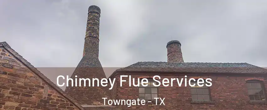 Chimney Flue Services Towngate - TX