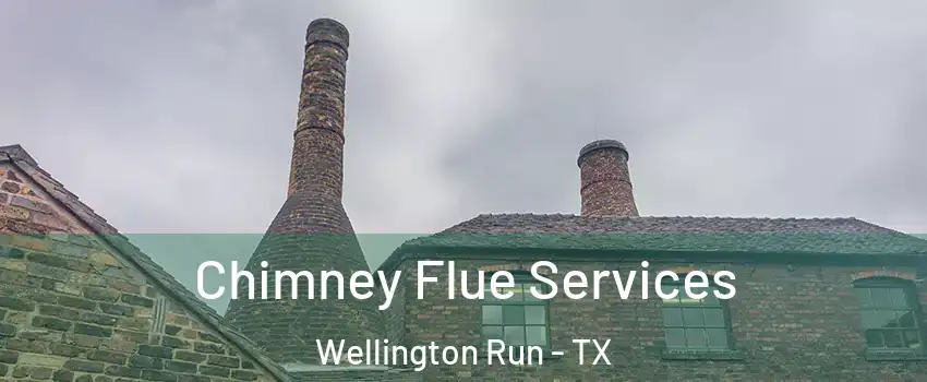 Chimney Flue Services Wellington Run - TX