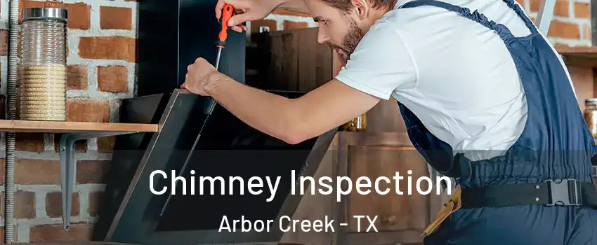 Chimney Inspection Arbor Creek - TX