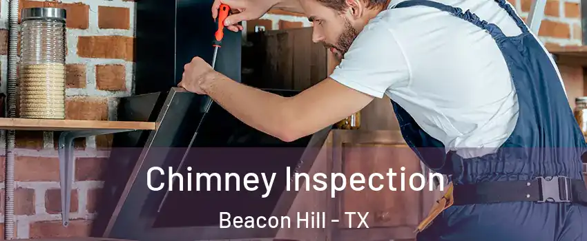 Chimney Inspection Beacon Hill - TX