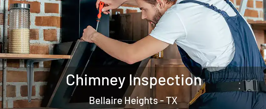 Chimney Inspection Bellaire Heights - TX