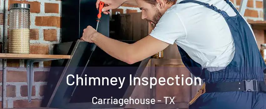 Chimney Inspection Carriagehouse - TX