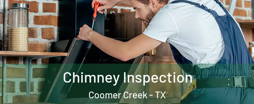 Chimney Inspection Coomer Creek - TX