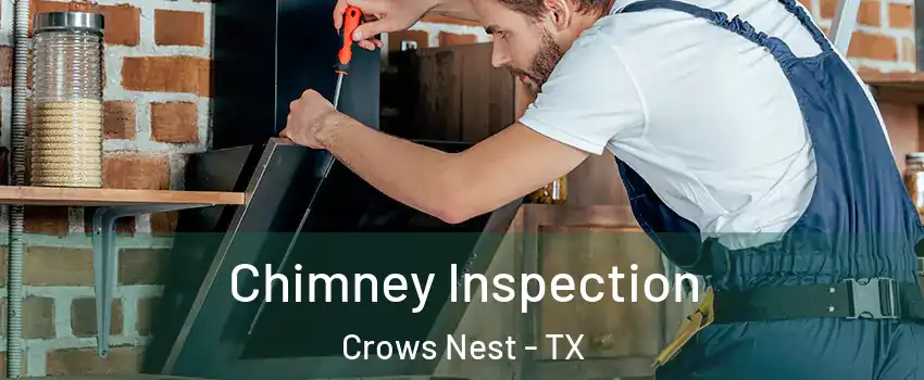 Chimney Inspection Crows Nest - TX