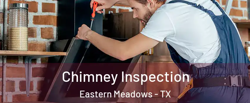 Chimney Inspection Eastern Meadows - TX