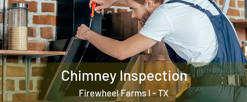 Chimney Inspection Firewheel Farms I - TX