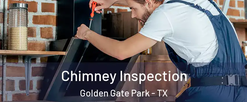 Chimney Inspection Golden Gate Park - TX