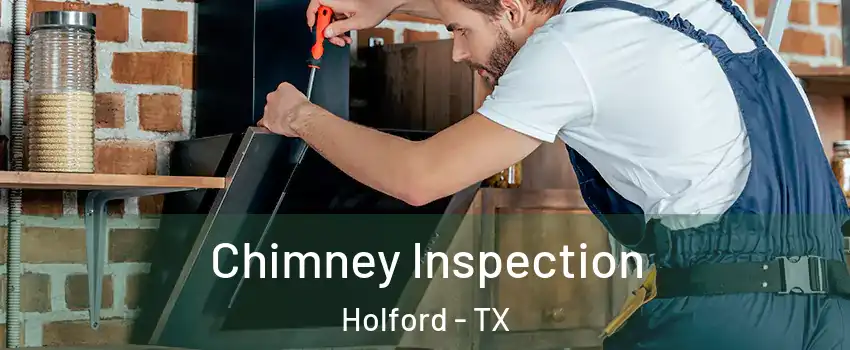 Chimney Inspection Holford - TX