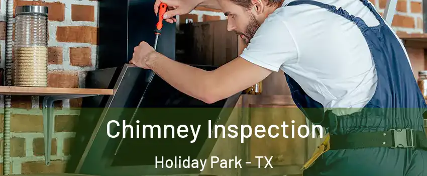 Chimney Inspection Holiday Park - TX