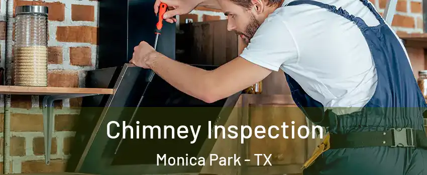 Chimney Inspection Monica Park - TX