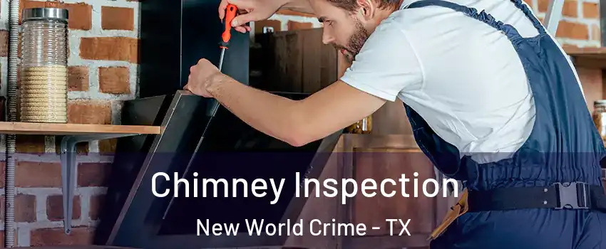Chimney Inspection New World Crime - TX