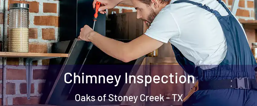 Chimney Inspection Oaks of Stoney Creek - TX