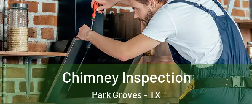 Chimney Inspection Park Groves - TX