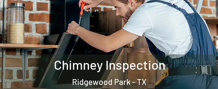 Chimney Inspection Ridgewood Park - TX