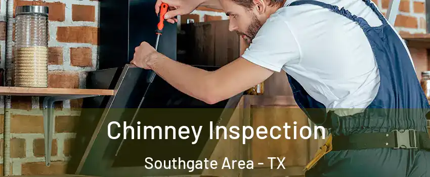 Chimney Inspection Southgate Area - TX