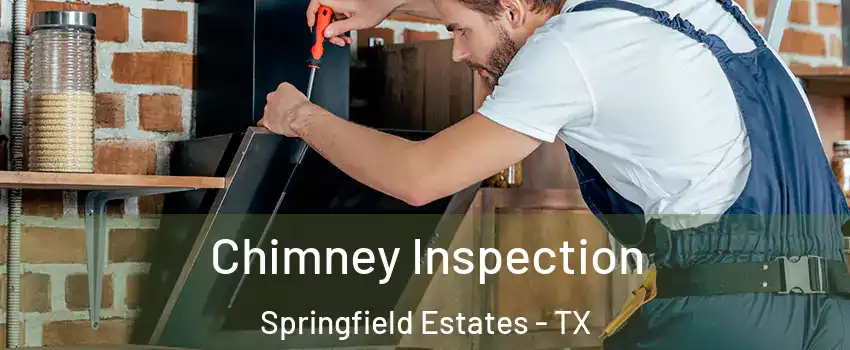 Chimney Inspection Springfield Estates - TX