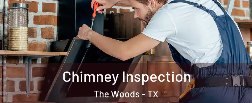 Chimney Inspection The Woods - TX