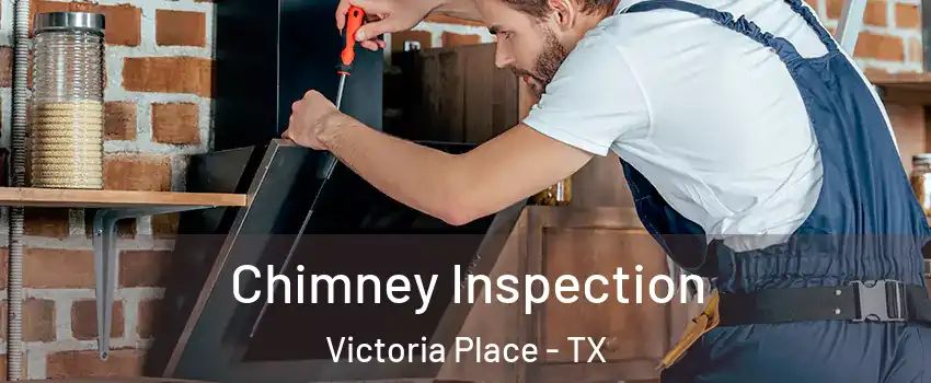 Chimney Inspection Victoria Place - TX
