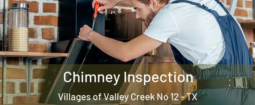 Chimney Inspection Villages of Valley Creek No 12 - TX