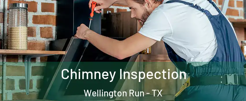 Chimney Inspection Wellington Run - TX