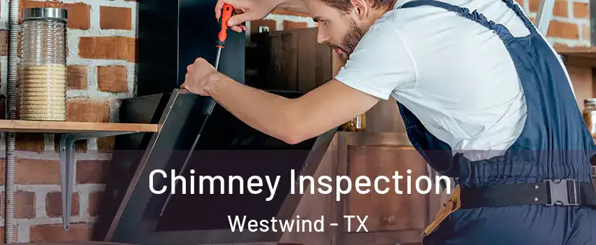 Chimney Inspection Westwind - TX