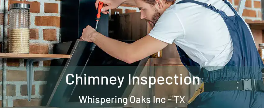 Chimney Inspection Whispering Oaks Inc - TX