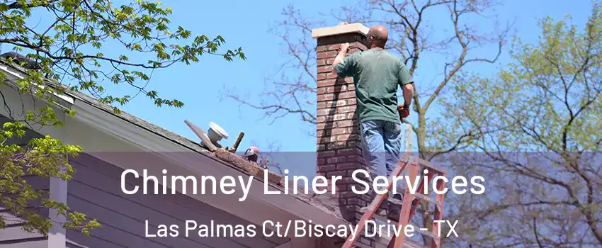 Chimney Liner Services Las Palmas Ct/Biscay Drive - TX