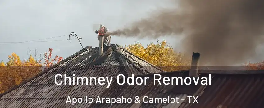 Chimney Odor Removal Apollo Arapaho & Camelot - TX