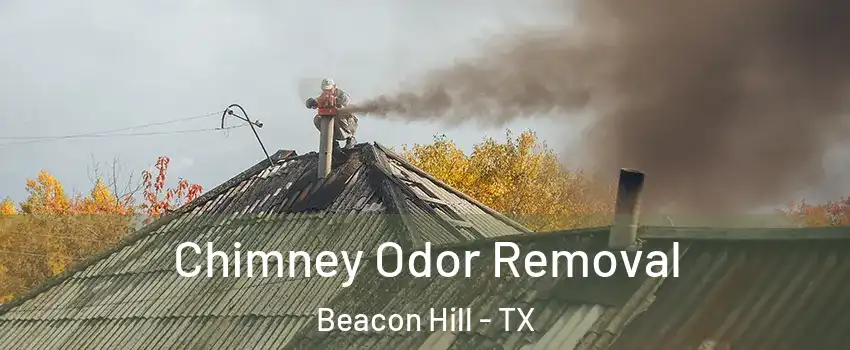 Chimney Odor Removal Beacon Hill - TX