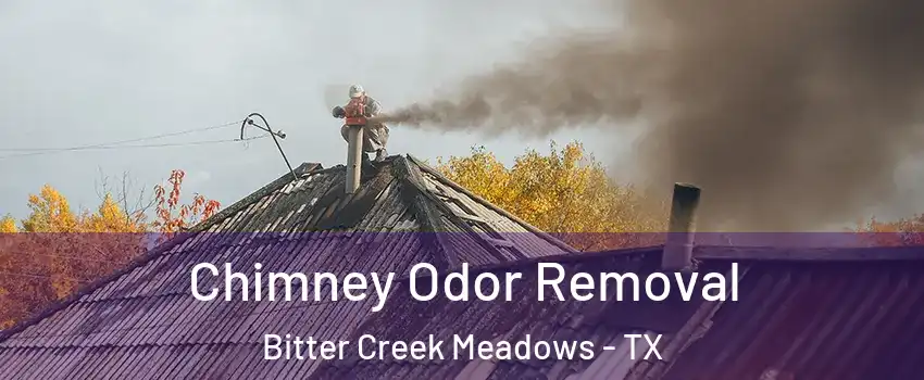 Chimney Odor Removal Bitter Creek Meadows - TX
