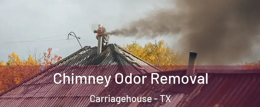 Chimney Odor Removal Carriagehouse - TX