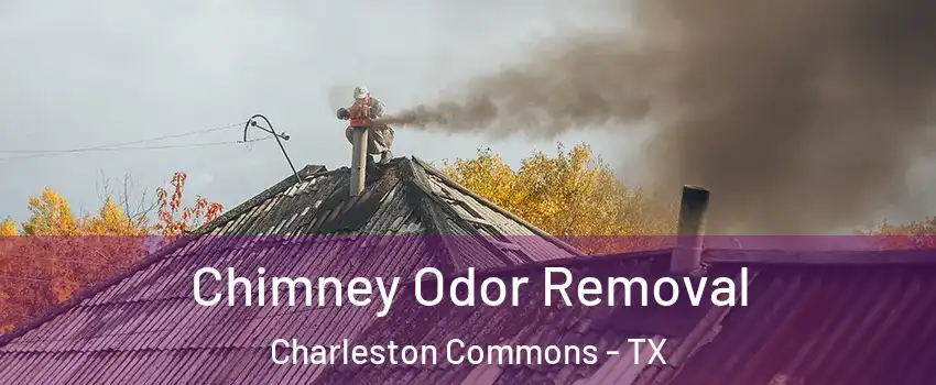 Chimney Odor Removal Charleston Commons - TX