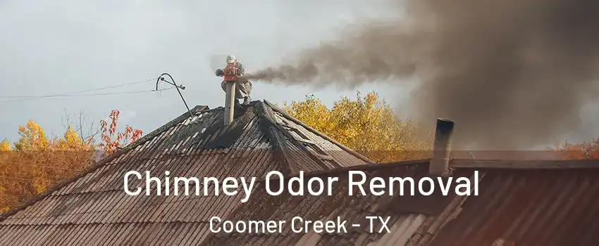 Chimney Odor Removal Coomer Creek - TX