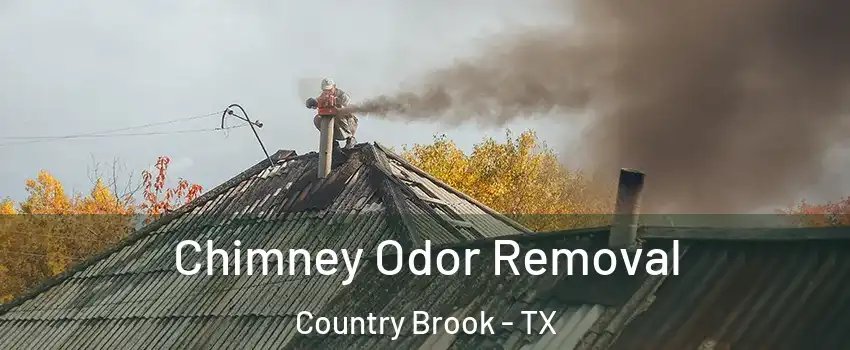Chimney Odor Removal Country Brook - TX